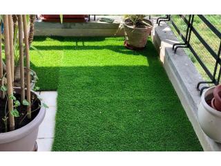 Bán cỏ nhân tạo sân vườn