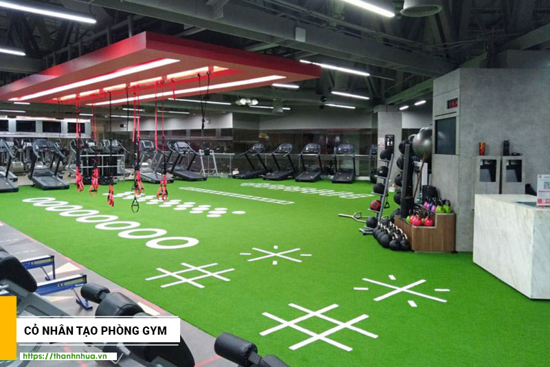 tham_co_phong_gym.jpg (261 KB)