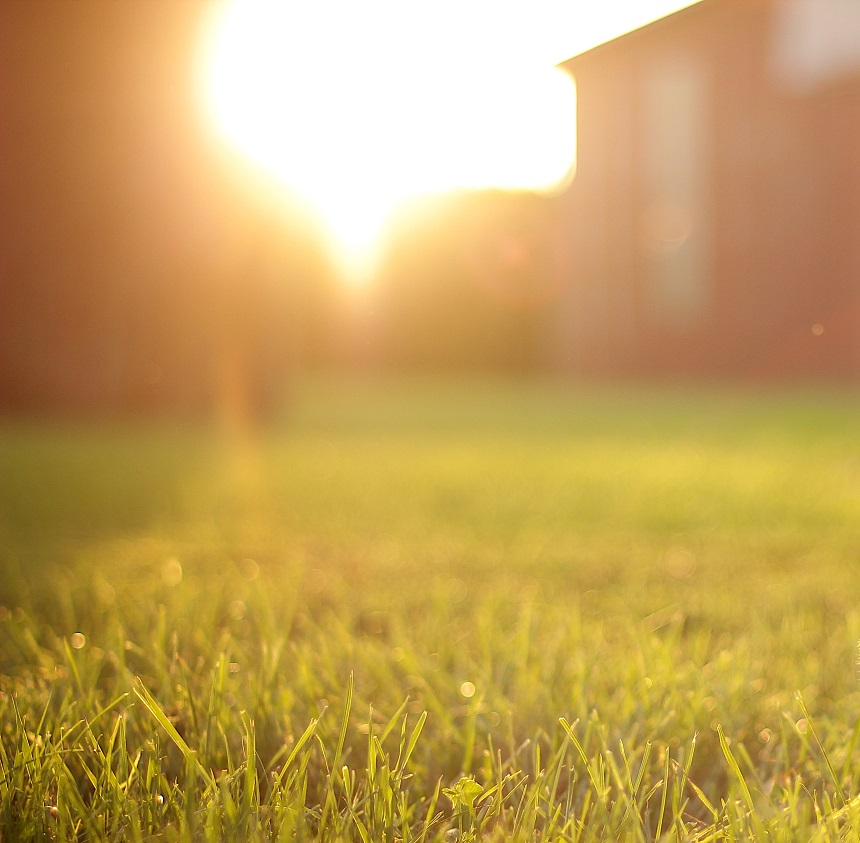 Biện pháp bảo vệ thảm cỏ nhân tạo của bạn mùa nắng nóng